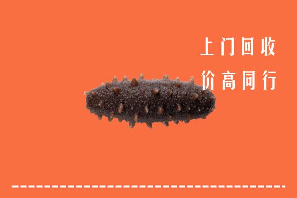 高价求购：锡林郭勒镶黄回收海参