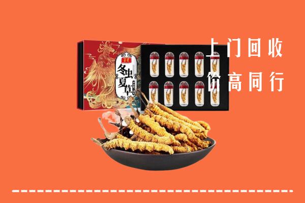 锡林郭勒镶黄回收虫草